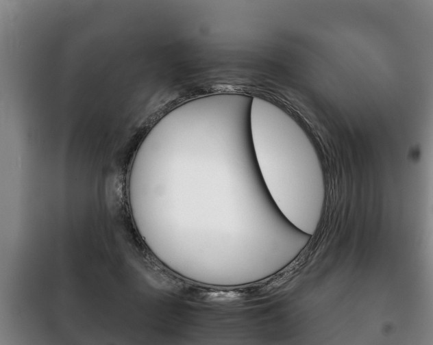 X0000100420363200806060953