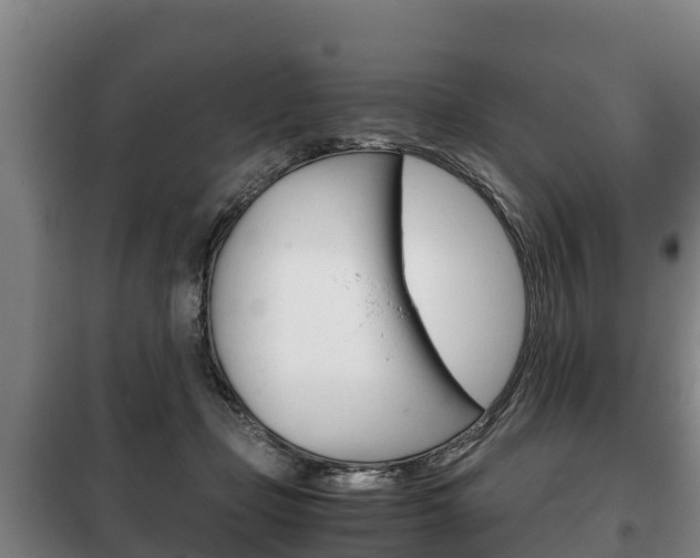 X0000100420365200806060953