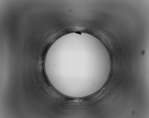 X0000100420366200806060953