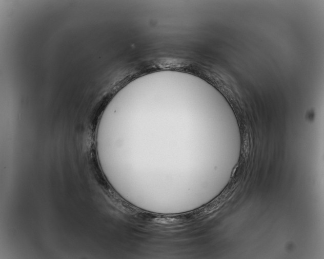 X0000100420367200806060953