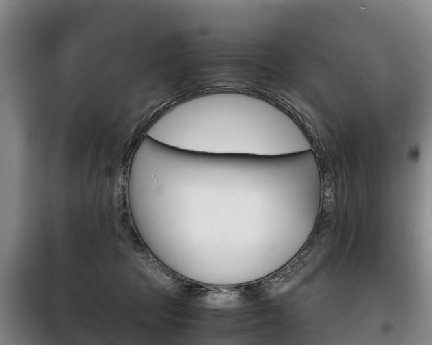 X0000100420369200806060953