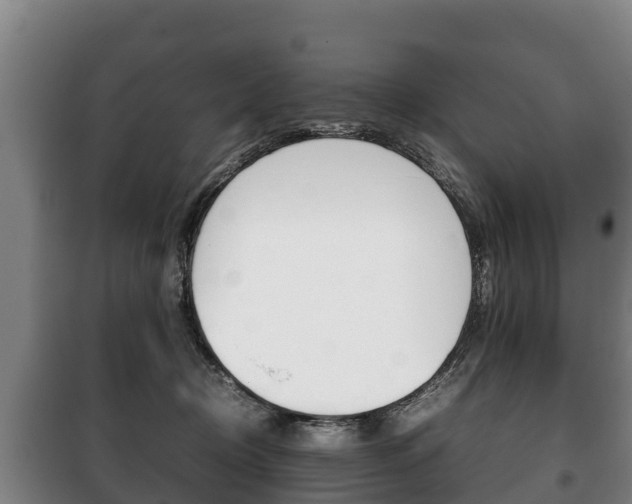 X0000100420370200806060953
