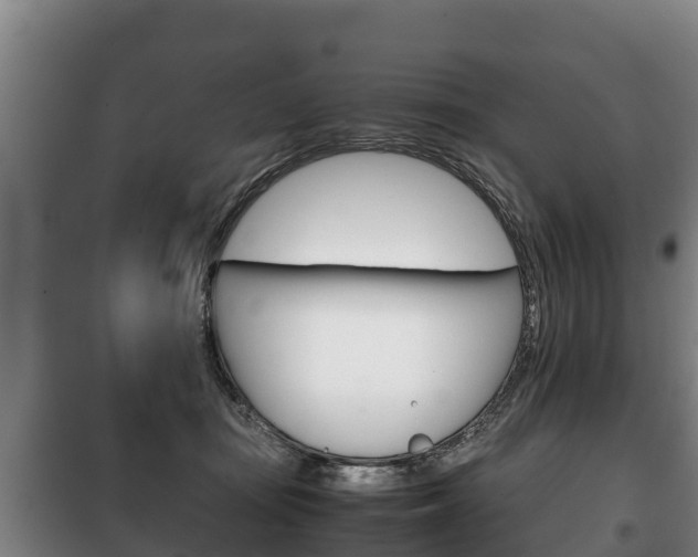 X0000100420371200806060953