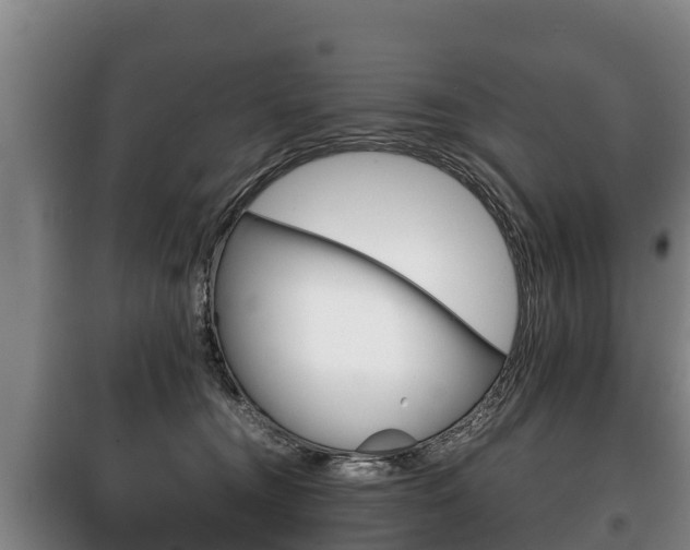 X0000100420372200806060953