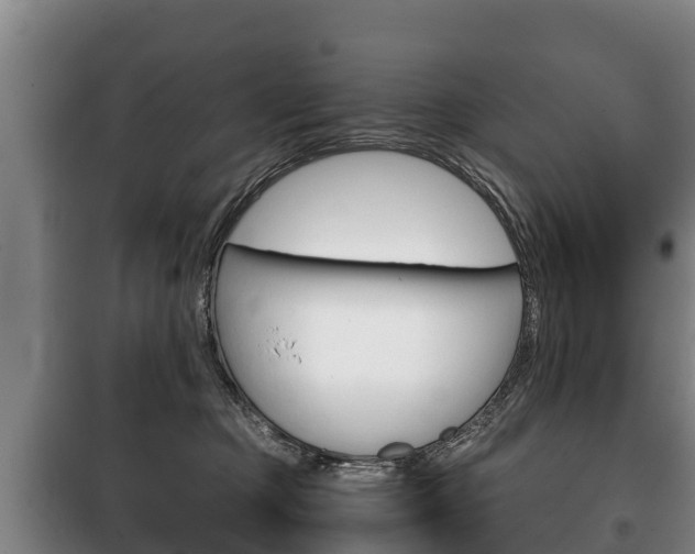X0000100420373200806060953