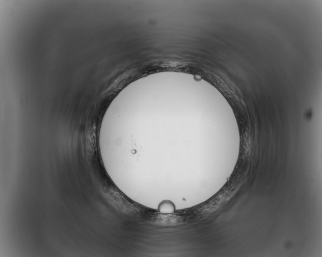 X0000100420376200806060953