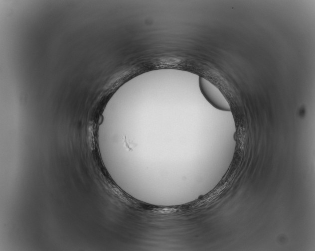 X0000100420378200806060953