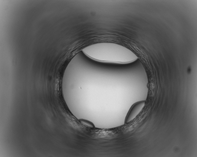 X0000100420379200806060953