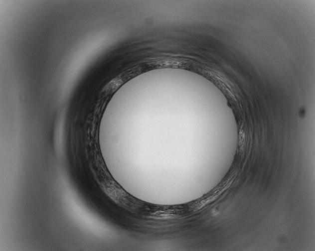 X0000100420381200806060953