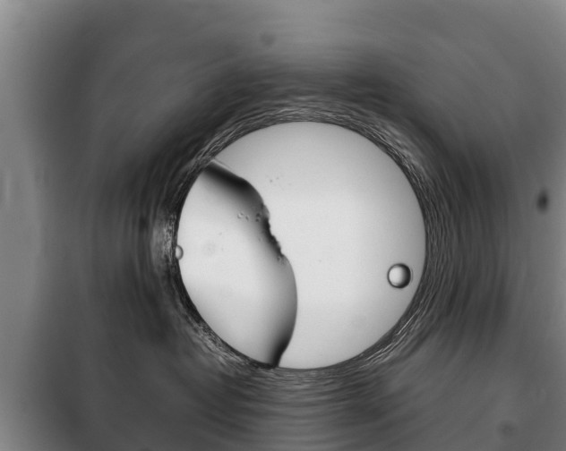 X0000100420382200806060954