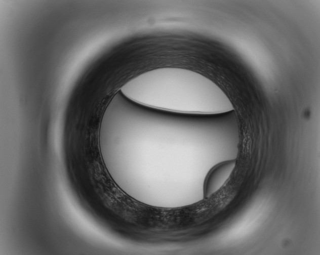 X0000100420383200806060954
