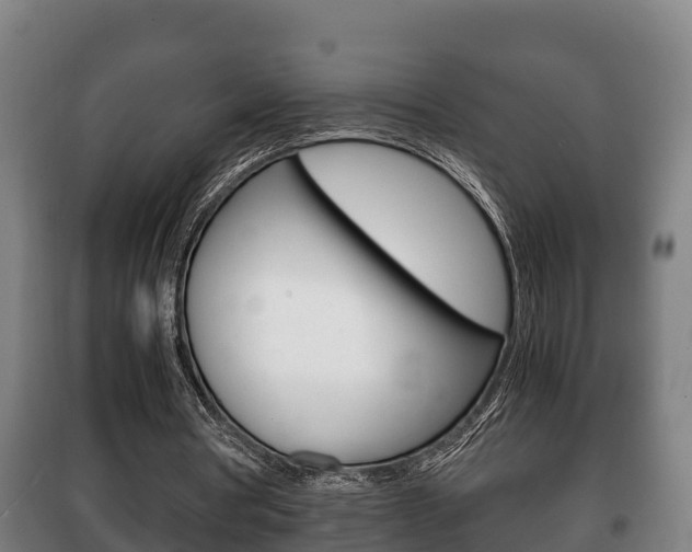 X0000100420386200806060953