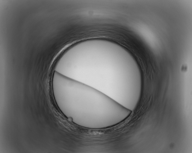X0000100420387200806060953