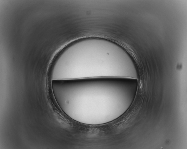 X0000100420388200806060953
