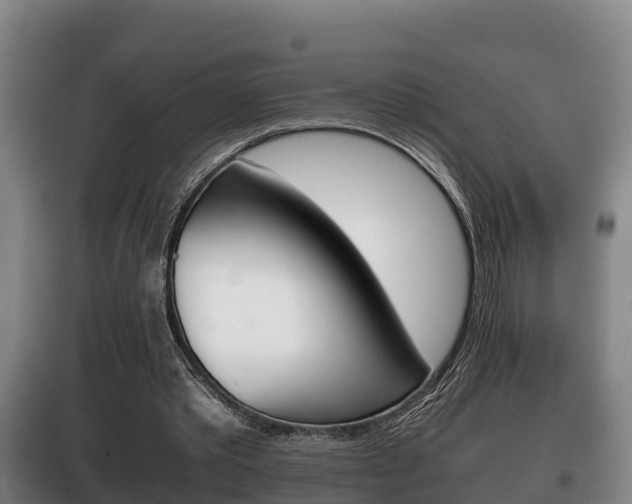 X0000100420389200806060953