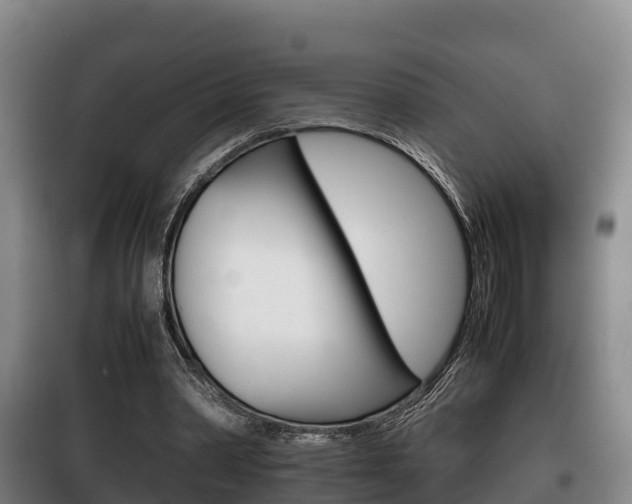 X0000100420390200806060953