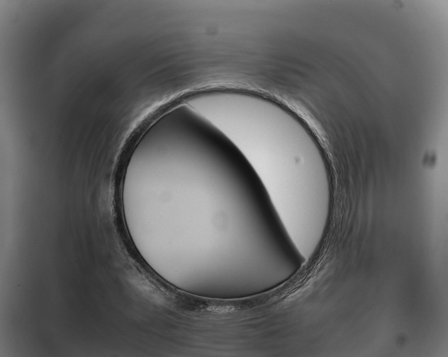 X0000100420391200806060953