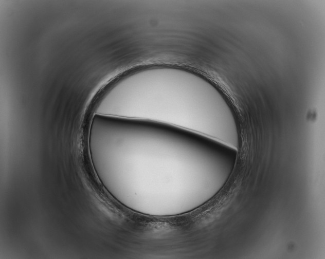 X0000100420392200806060953