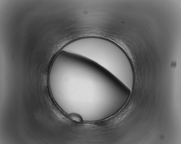 X0000100420393200806060953