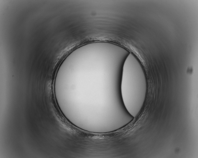 X0000100420394200806060953