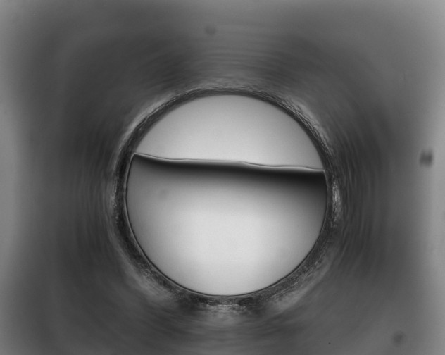 X0000100420396200806060953