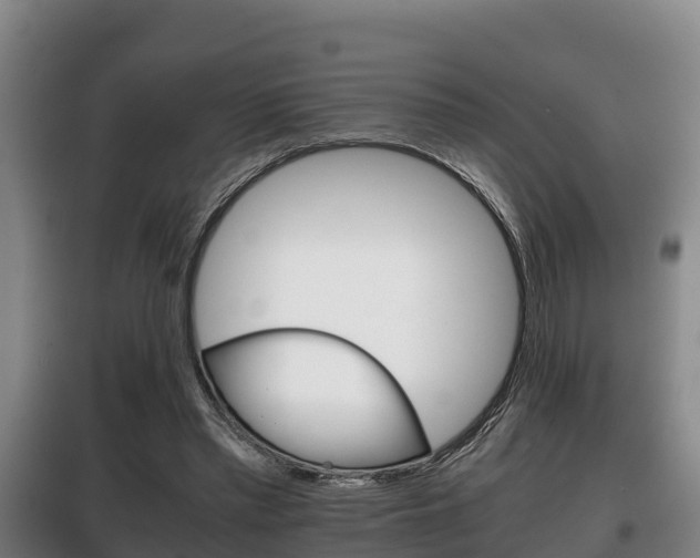 X0000100420397200806060953