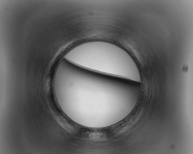 X0000100420400200806060953