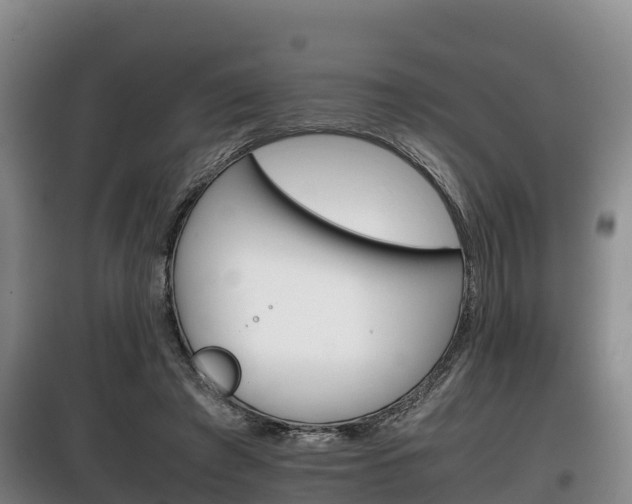 X0000100420401200806060953