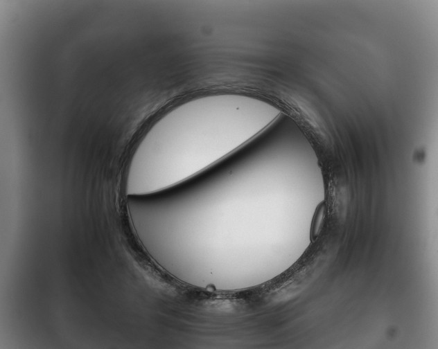 X0000100420404200806060953