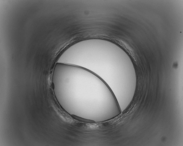 X0000100420405200806060953