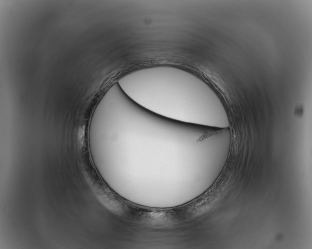 X0000100420406200806060953