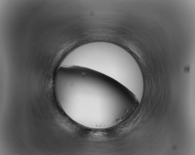 X0000100420407200806060953