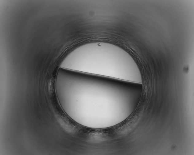 X0000100420408200806060953