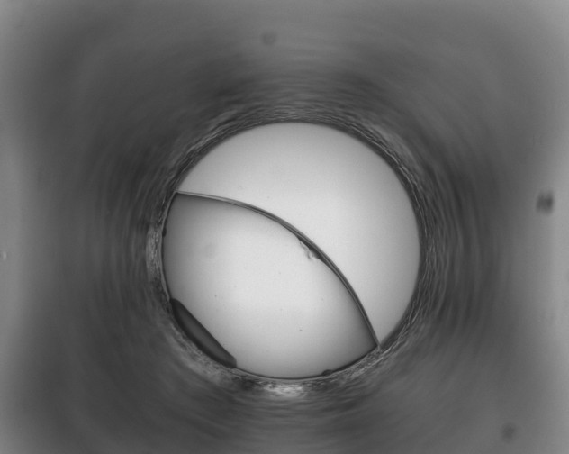 X0000100420409200806060953
