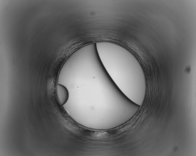 X0000100420410200806060953