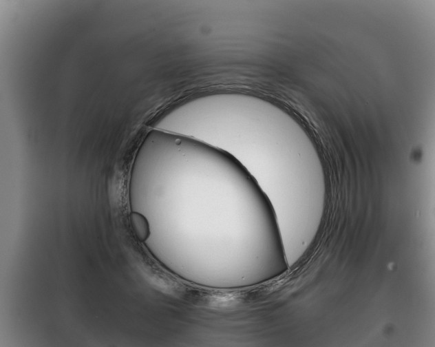 X0000100420411200806060952