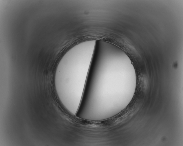 X0000100420412200806060952