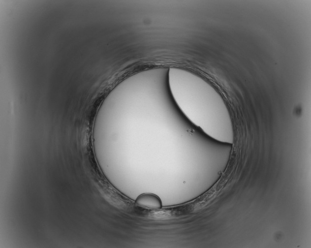 X0000100420413200806060952