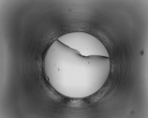 X0000100420414200806060952
