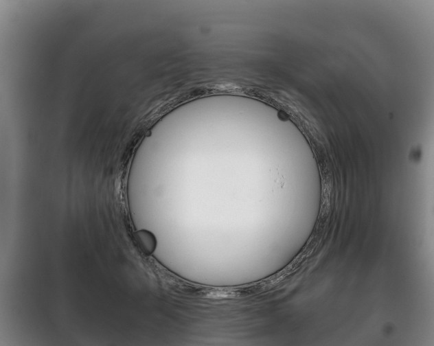 X0000100420415200806060952