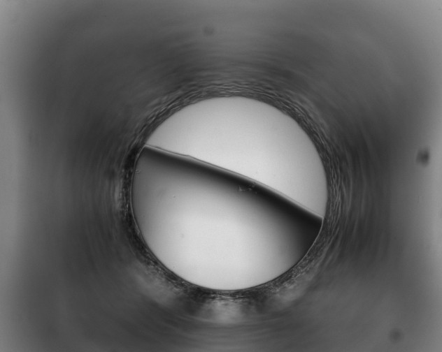 X0000100420416200806060952