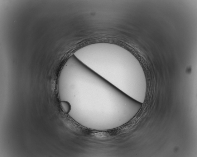 X0000100420417200806060952