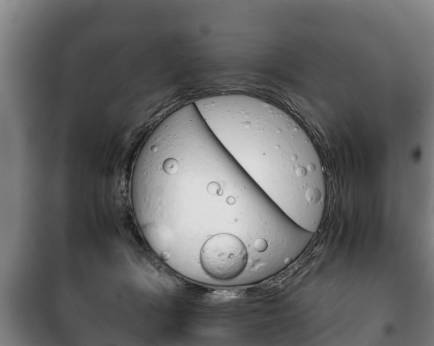 X0000100420418200806060952