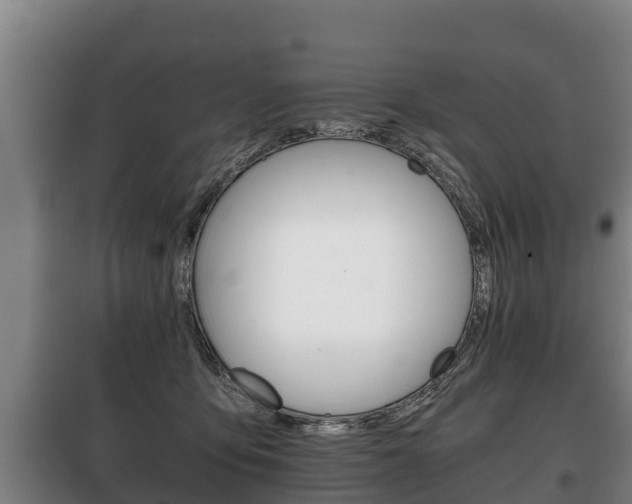 X0000100420419200806060952