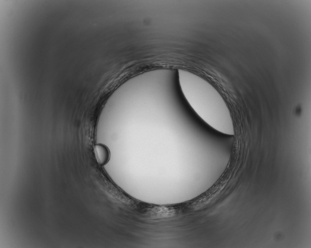 X0000100420421200806060952