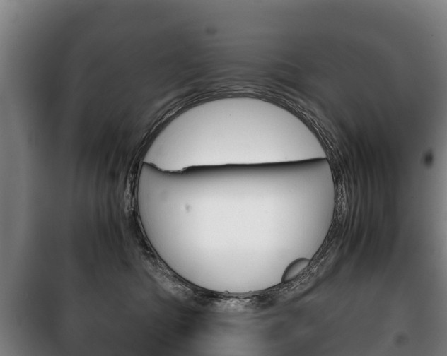 X0000100420422200806060952