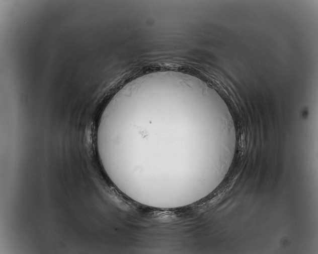 X0000100420424200806060952