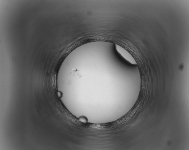 X0000100420425200806060952
