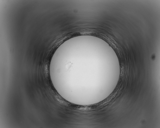 X0000100420426200806060952
