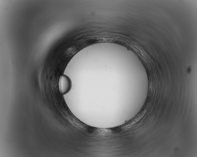 X0000100420429200806060952